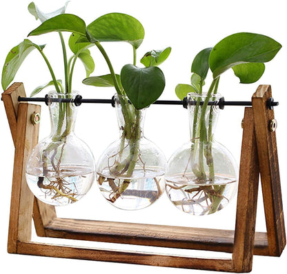 Svea – Tisch-Vase aus Glas im Holzständer für Pflanzenableger