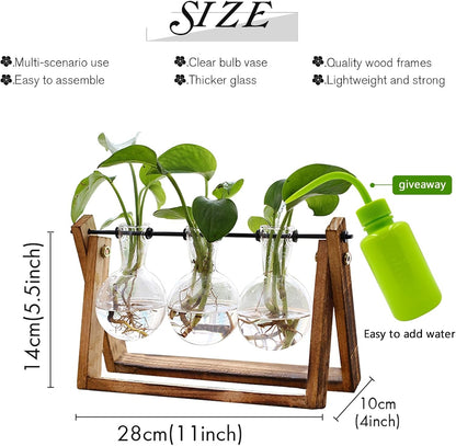 Svea – Tisch-Vase aus Glas im Holzständer für Pflanzenableger